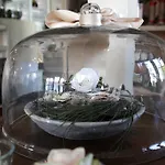 太阳酒店